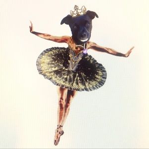 Meet your Posher, Siouxsie